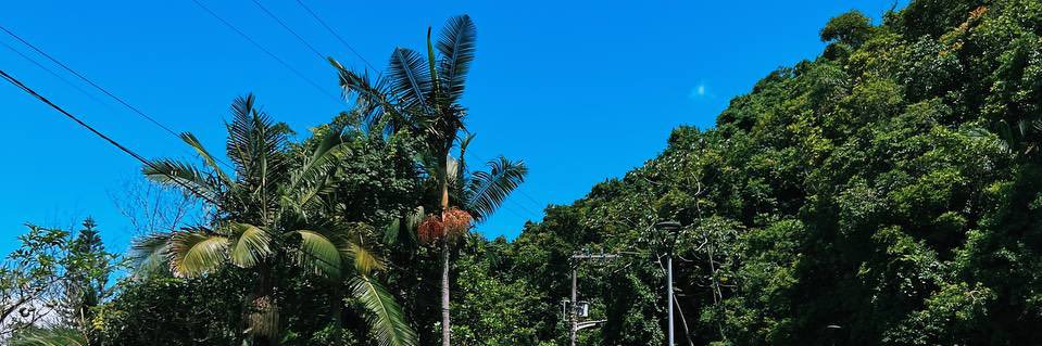 TopColiiriioos's profile banner image