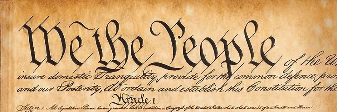 Constitutional Warriors banner