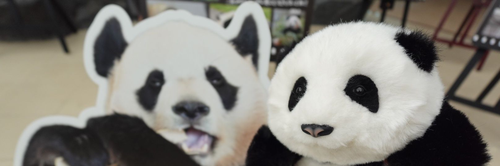 己葉美（こぱみ） banner