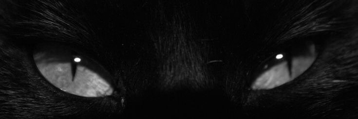 room120_p0's profile banner image