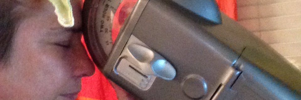 Annie Lanzillotto banner