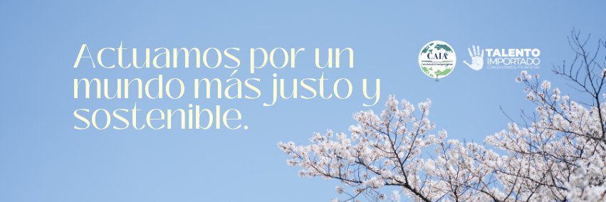 Maria A Faria F banner
