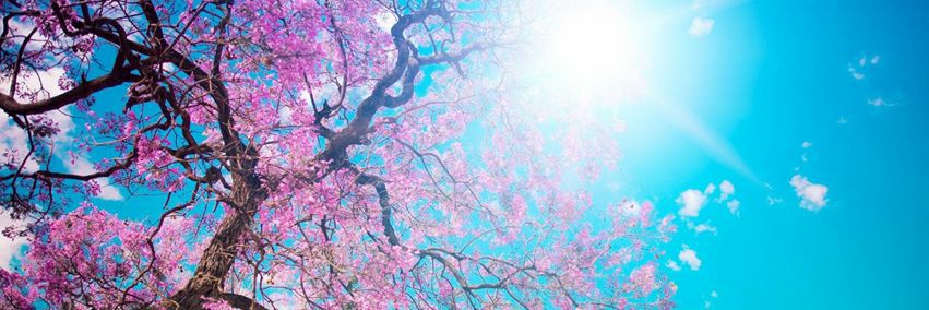 BiancaMo91's profile banner image