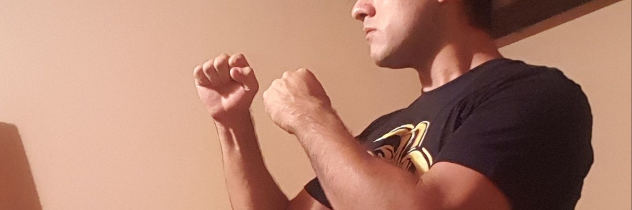 HVaroni's profile banner image