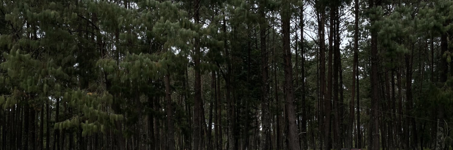 teedesol's profile banner image