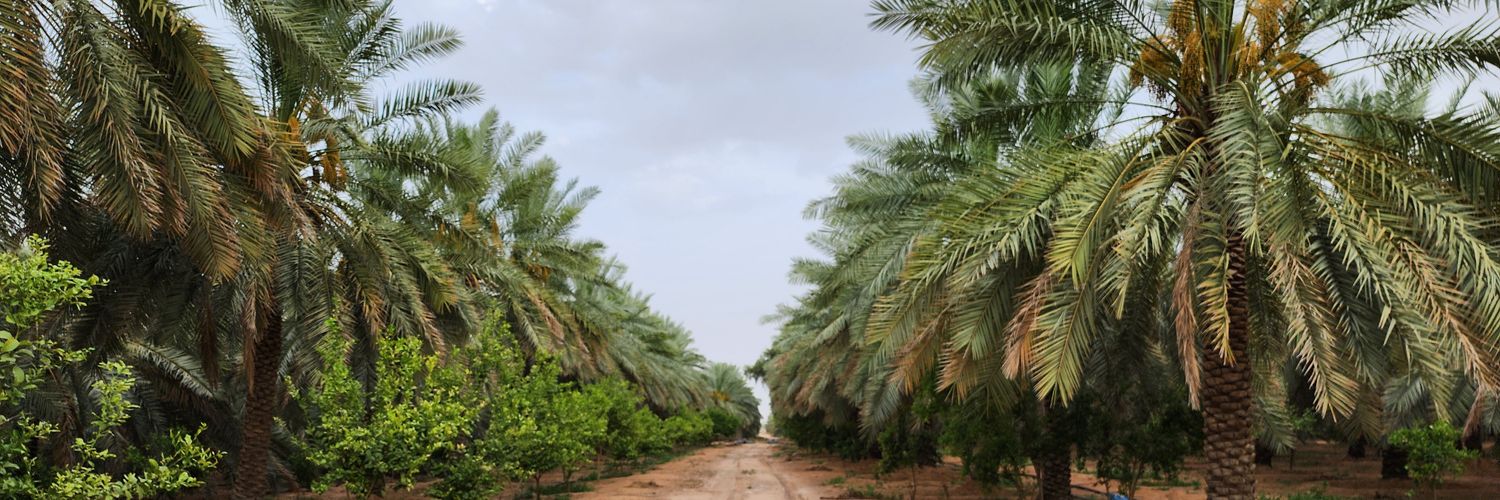 عبدالله المحيميد banner