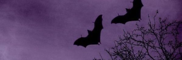 chldbrthnggts's profile banner image