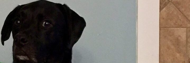 handsevans's profile banner image