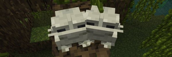 tossacoin2d Profile Banner