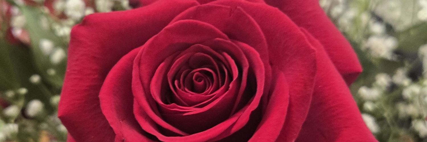 Mitchell Peace Joy banner