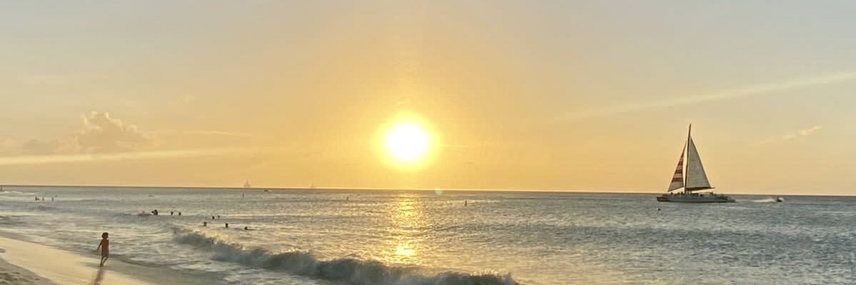 JTurizzo's profile banner image