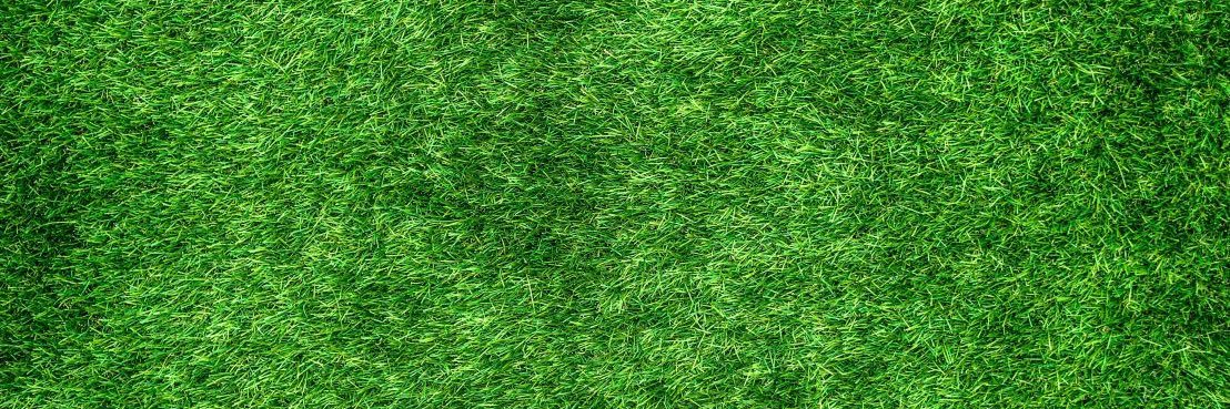 andannte_'s profile banner image