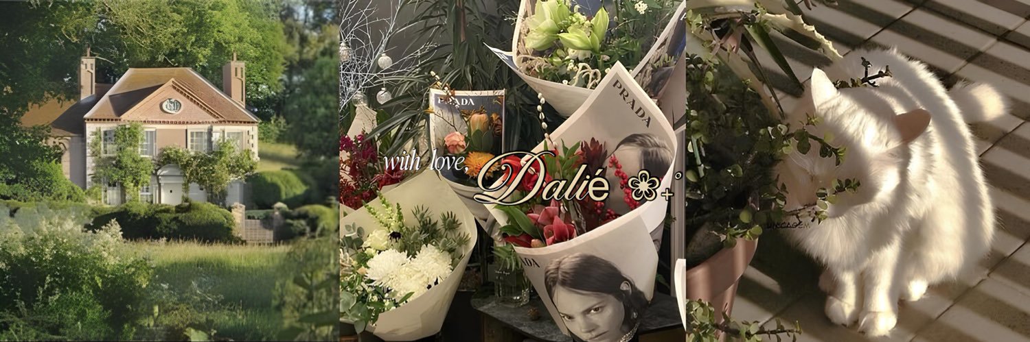 dalié ❀˖° banner