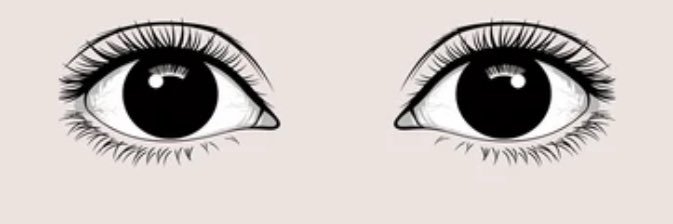 ewo222's profile banner image