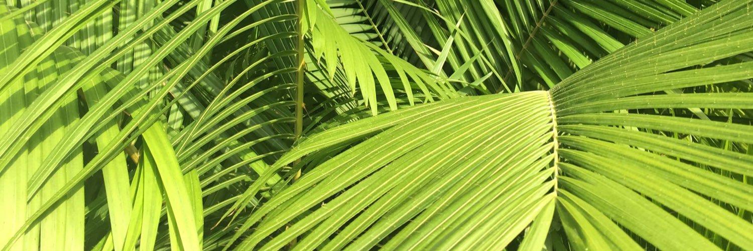 vanessm's profile banner image
