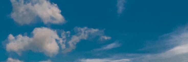 dinisaurs🦕 banner