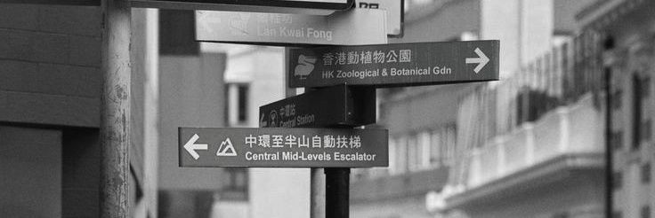 𝗢𝗦𝗟𝗢. banner