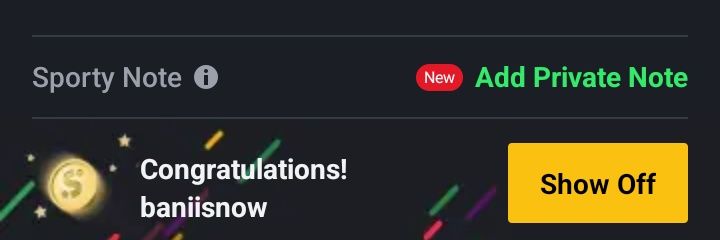 Bani Snow banner