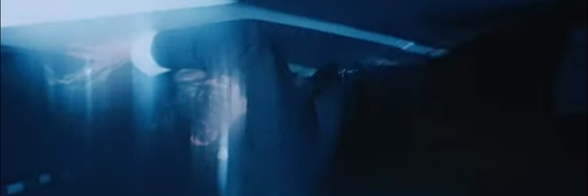 nileeyu's profile banner image