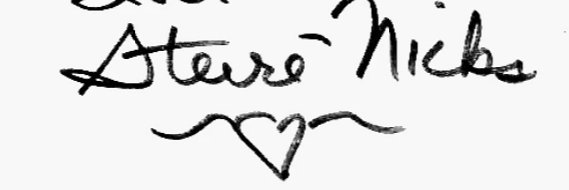 no context stevie nicks's banner