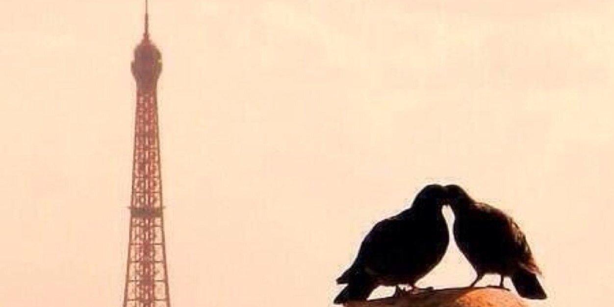 aderjandro's profile banner image