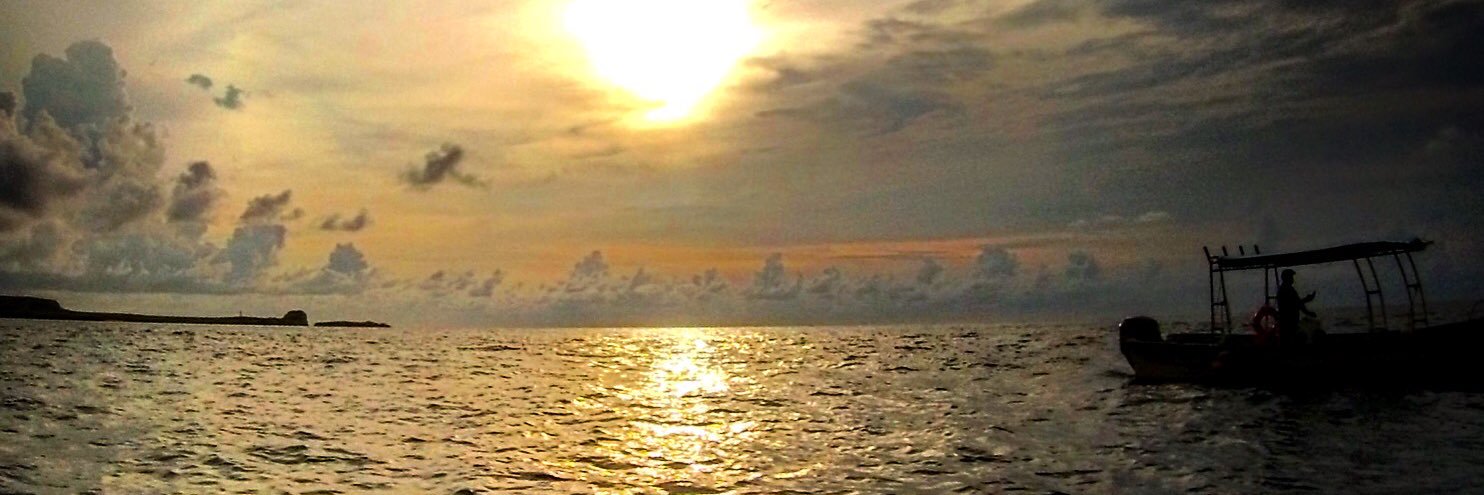 ttchacal's profile banner image
