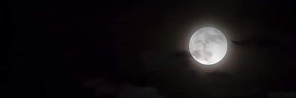 GYMSTVD Profile Banner