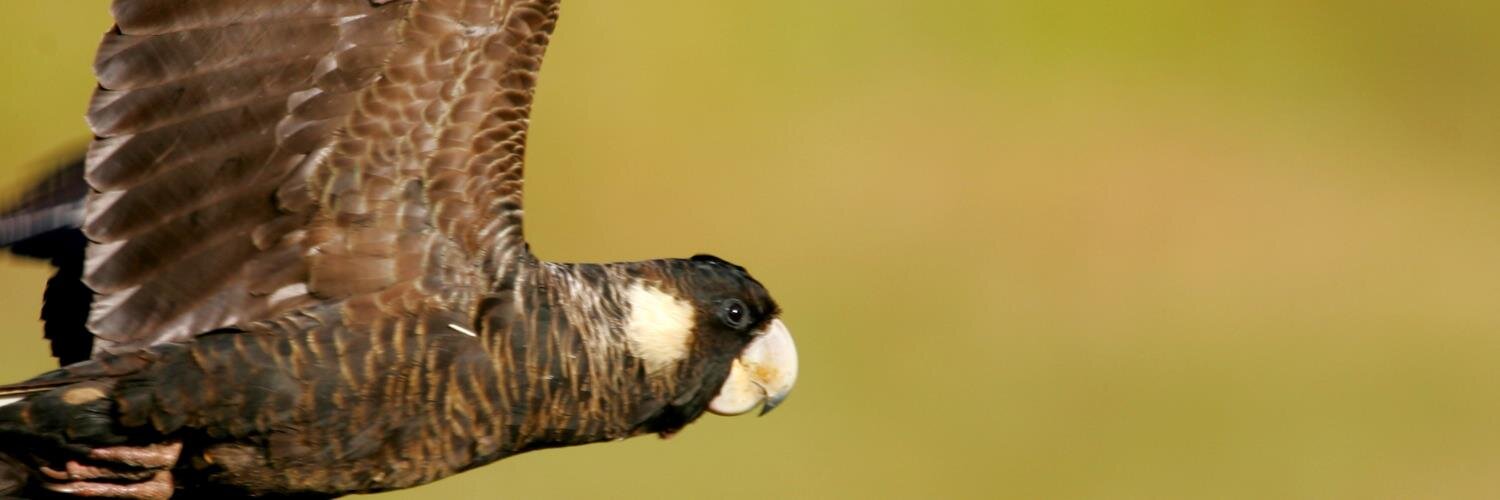EcosystemsGary's profile banner image