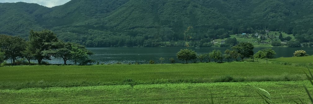 salololo's profile banner image