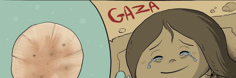 🕊️🇵🇸maisa .family🇵🇸's banner