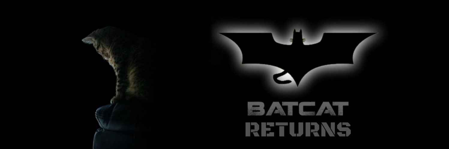 Batcat Returns banner