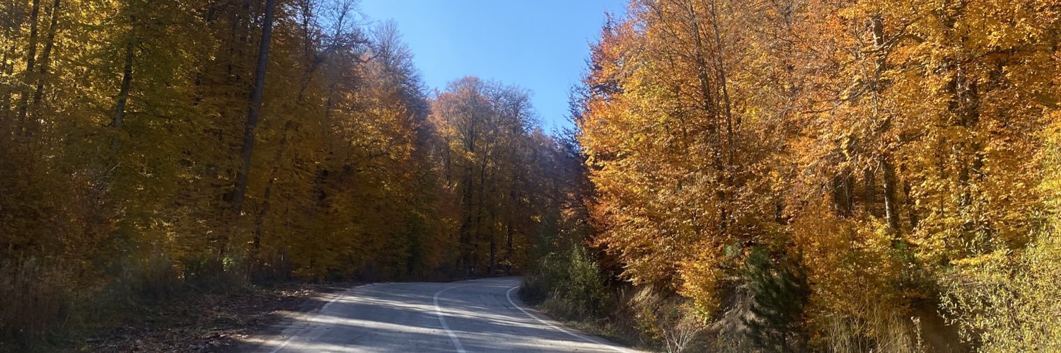 ezzuli's profile banner image