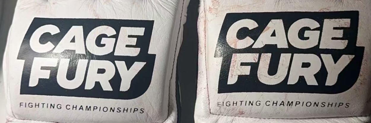 WorldWideChris banner