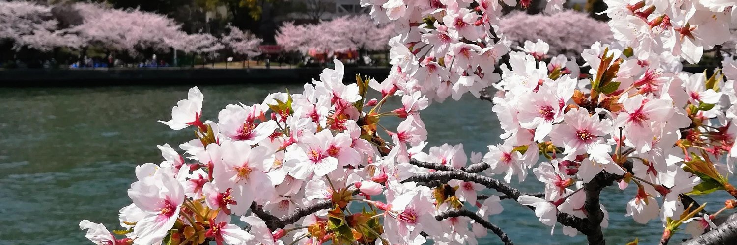 Danielle Geva banner