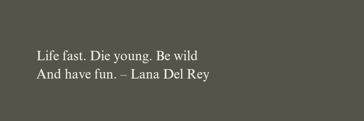 𝑆 banner