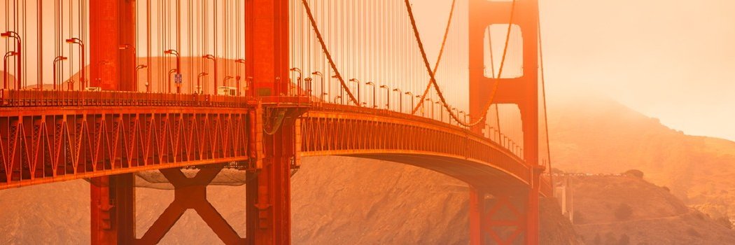brdlymccll's profile banner image