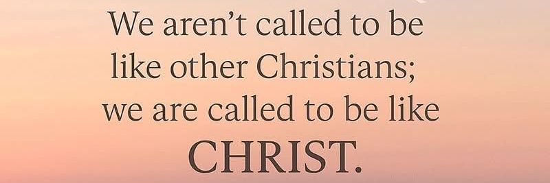 Dumpster Fire banner