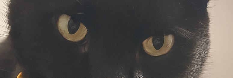 Joa0xD's profile banner image