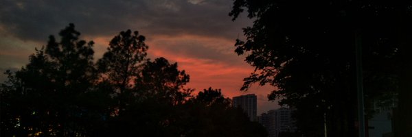 tangeorange Profile Banner