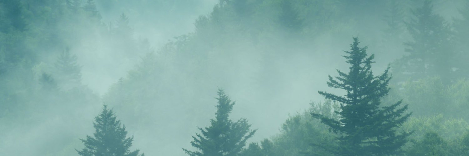 BrianMartinez's profile banner image