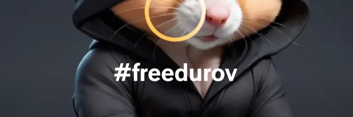 Натали Галицкая banner