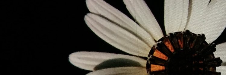 OhhAiraaaa's profile banner image