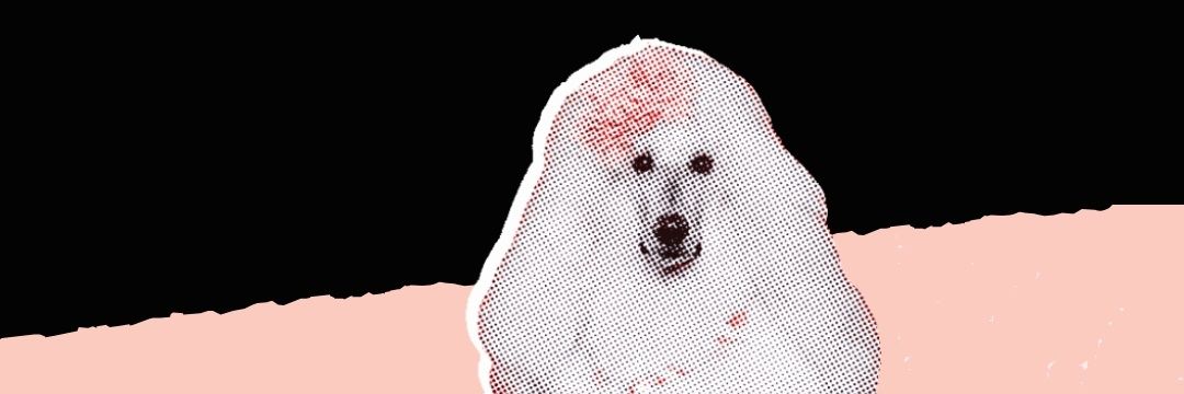 pork064's profile banner image