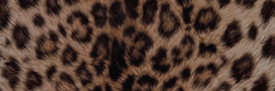 JADESTARR⭐️ banner
