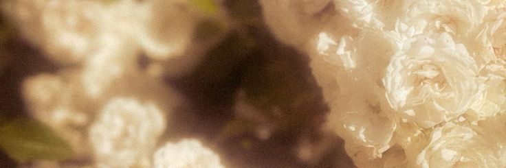 raawith7's profile banner image
