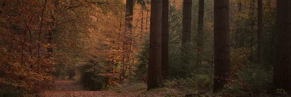 agreendoggo Profile Banner
