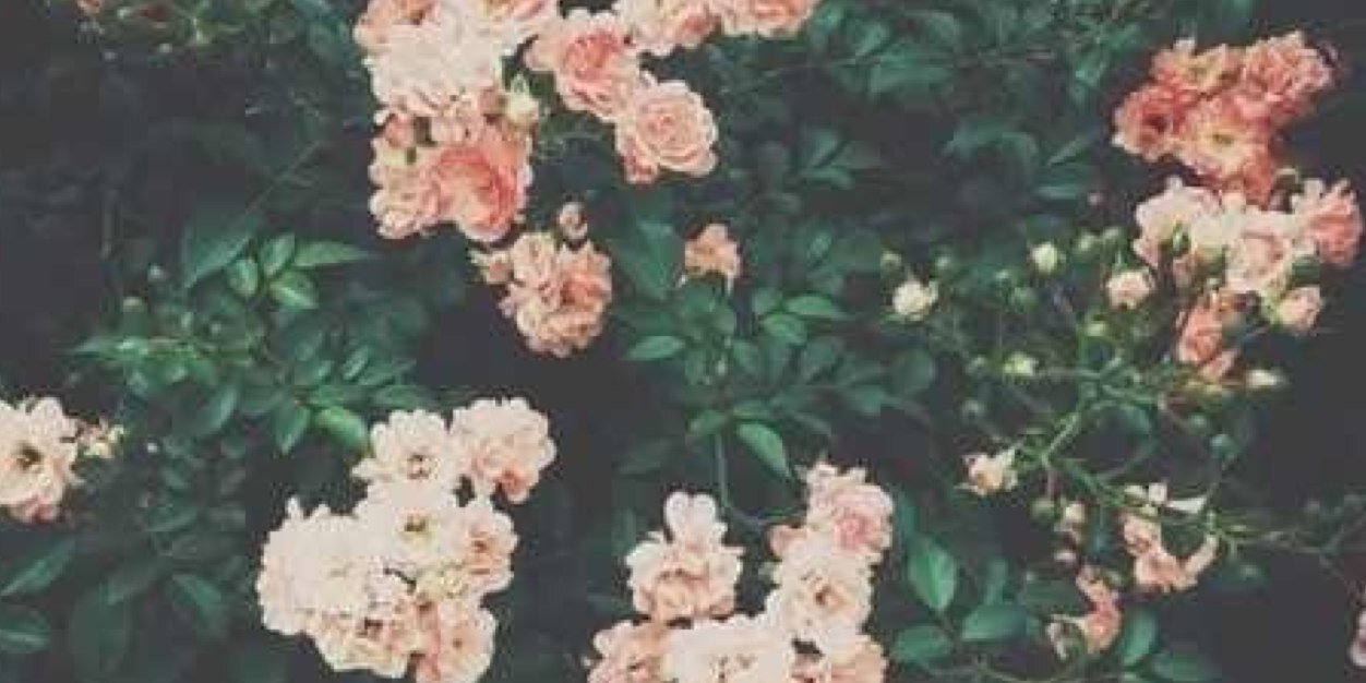 ayuwarsono's profile banner image