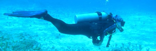 vivianmarthell Profile Banner