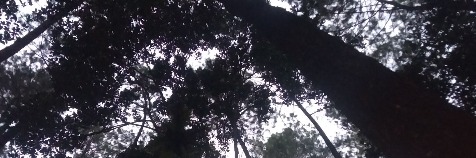 abdurachmanFS's profile banner image