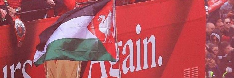 aldnhlm's profile banner image